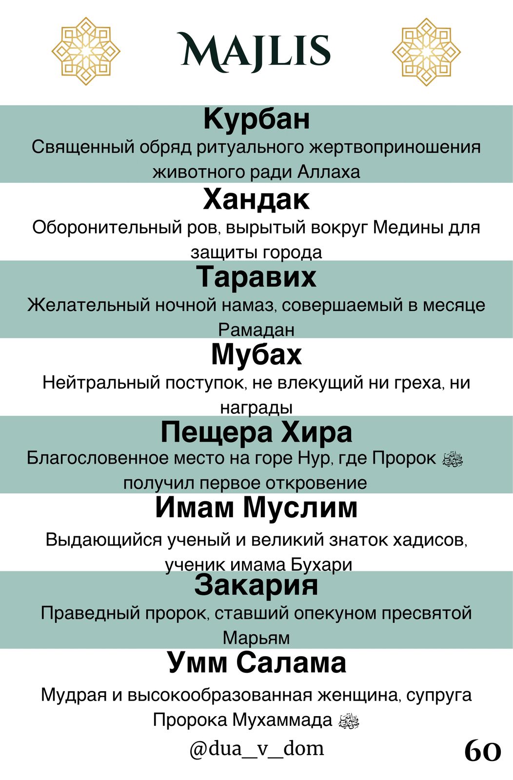 Пример карточки MAJLIS 61